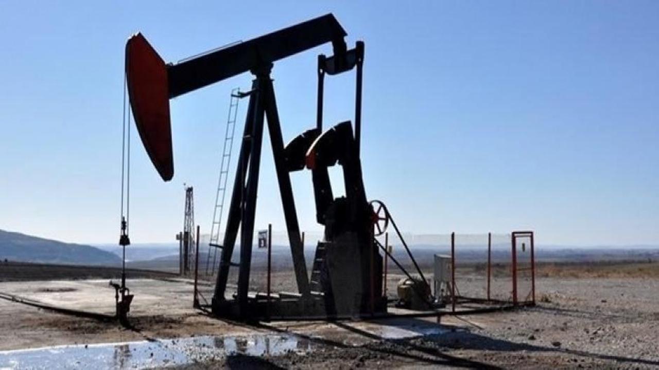 TPAO’nun 4 sahası için kamulaştırma kararı