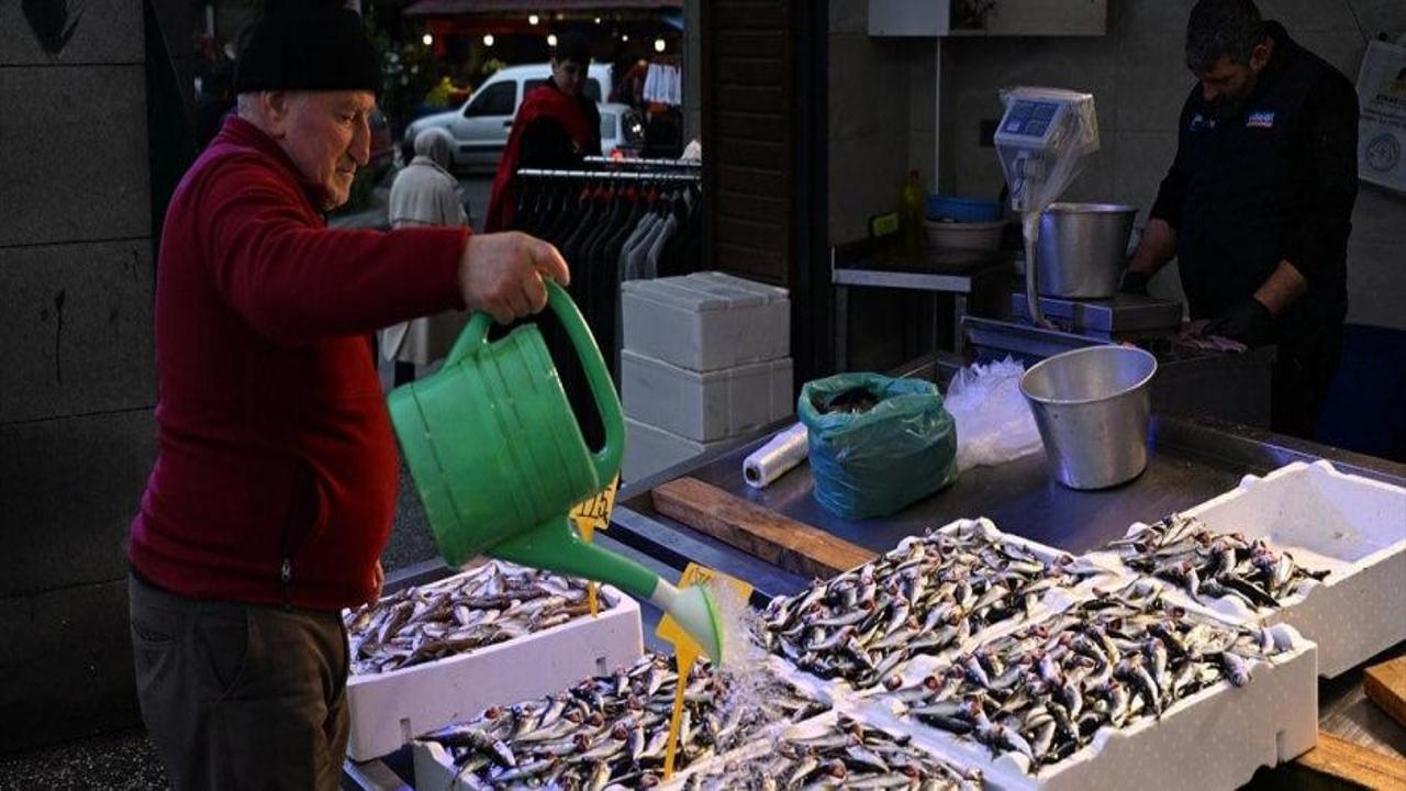Trabzon’da istavritin fiyatında düştü!