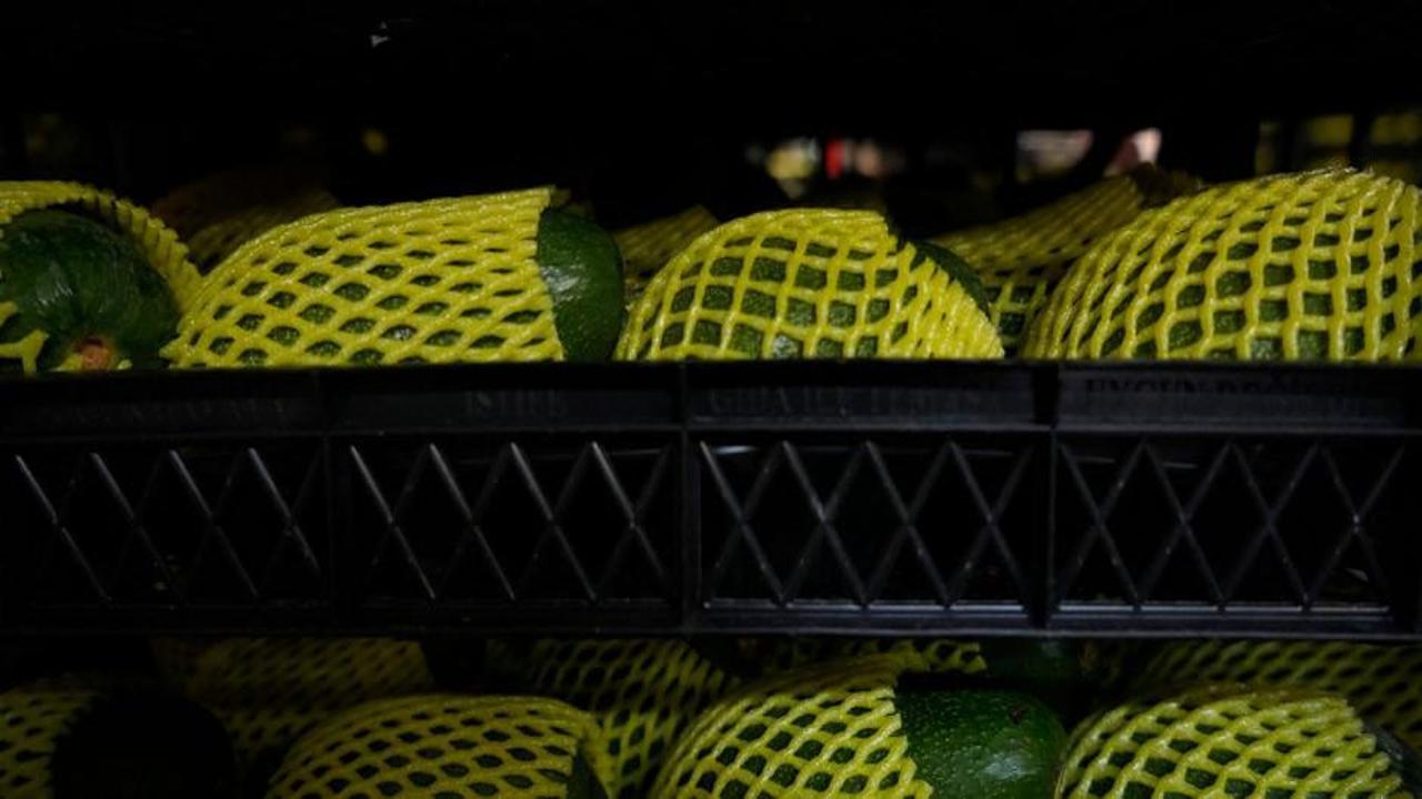 Türkiye’de üretiliyor Rusya’da kilosu yaklaşık 154 TL’den satılıyor