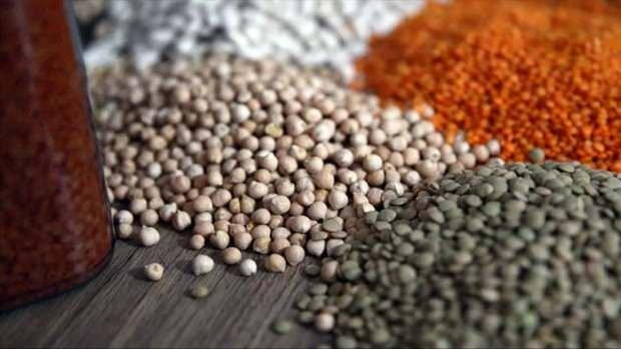 Türkiye’nin bakliyat ihracatı Ocak ayında yüzde 5,4 artarak 1,03 milyar dolar oldu