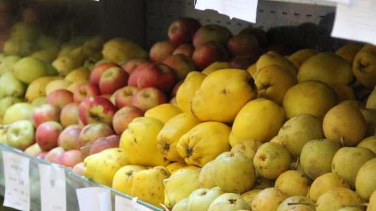 Yaş meyve ve sebze ihracatında aslan payı Akdeniz’in