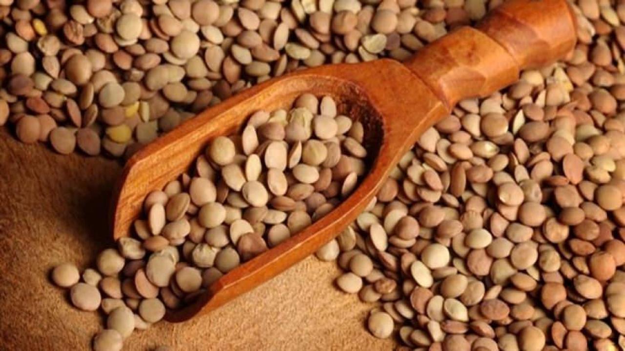 Yeşil mercimek ithalatında gümrük vergisi sıfıra indirildi