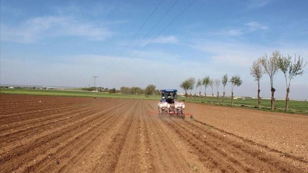 Yüzde 50 hibe desteği verilecek! Kırsal Kalkınma Destekleri başvuru süresi uzatıldı