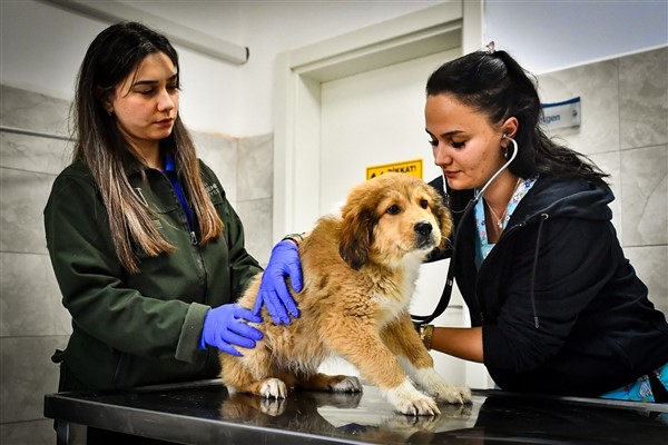 İzmir Büyükşehir Belediyesi HAYTAP’tan tam not aldı