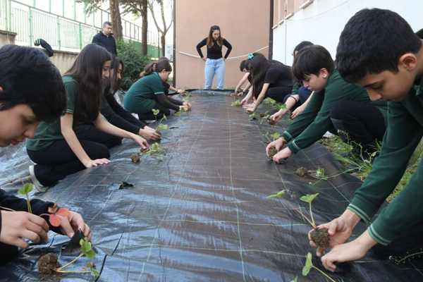 Nilüfer’de çocuklar çilek ve marul dikerek tarımla tanıştı