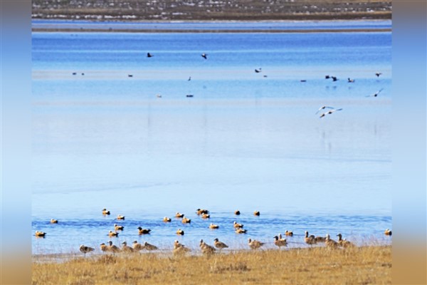 Karlı platonun güzel tablosu
