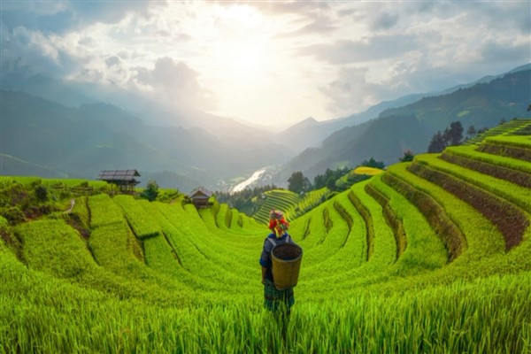 Çin Kalkınma Bankası, tarımsal desteği iki katına çıkardı