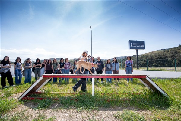 İzmir Büyükşehir Belediyesi, 4 Nisan Dünya Sokak Hayvanları Günü’nü PAKO’da kutladı