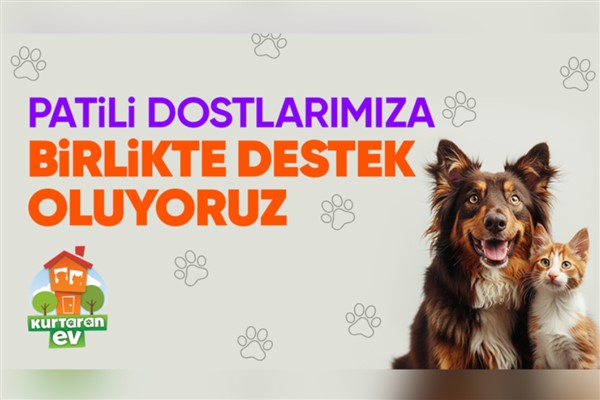 Hepsiburada, Dünya Köpek Günü’nde Patili Dostlara Destek sayfasını açıyor
