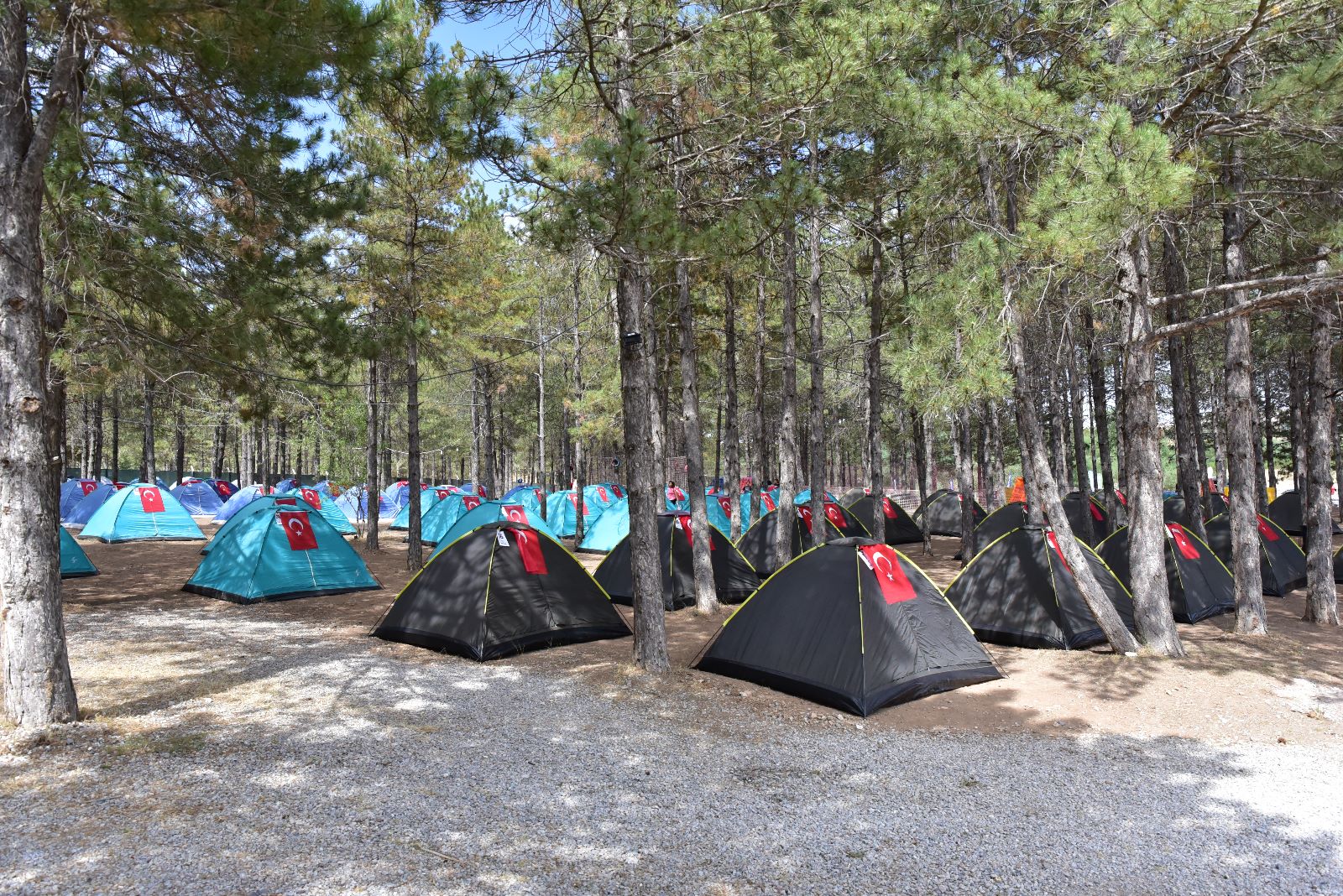 Kayseri Büyükşehir Belediyesinin “Doğa Kampı” başvuruları sürüyor