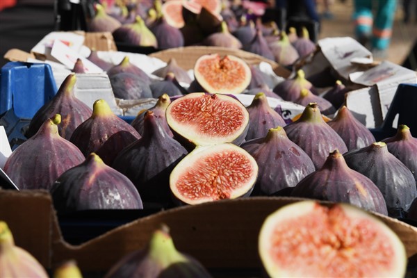 Başkan Aydın: Siyah incir Bursa’nın gözbebeği