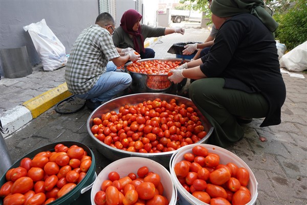 Domatesi tarlada kalan çiftçi, büyükşehir aracılığıyla ihtiyaç sahiplerine bağışladı