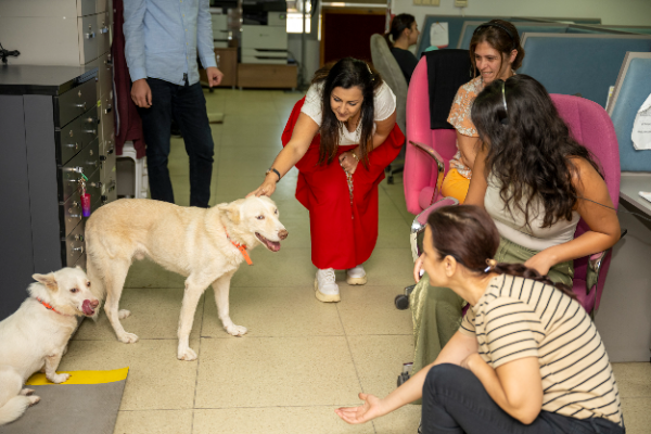 Mersin’de “Yaşamı Sahiplen Destek Büyükşehirden” kampanyası sürüyor