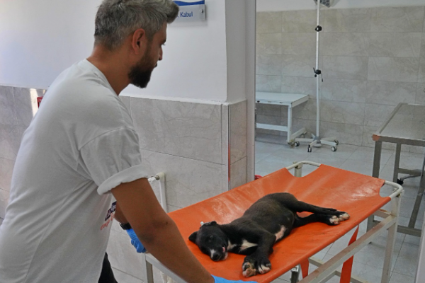 İzmir Büyükşehir Belediyesi eğitime köprü oluyor