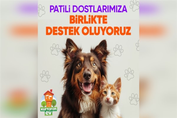 Hepsiburada, Patili Dostlara Destek kampanyasıyla dayanışmayı büyütmeye davet ediyor