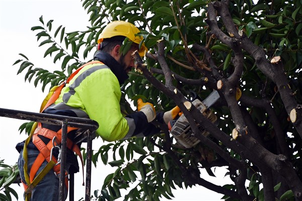 Yalova Belediyesi kış hazırlıklarını sürdürüyor