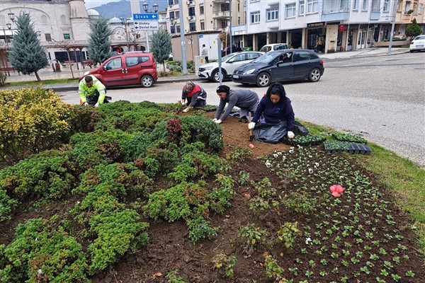 Ordu Büyükşehir, park, bahçeler ve yolları kış çiçekleriyle süslüyor