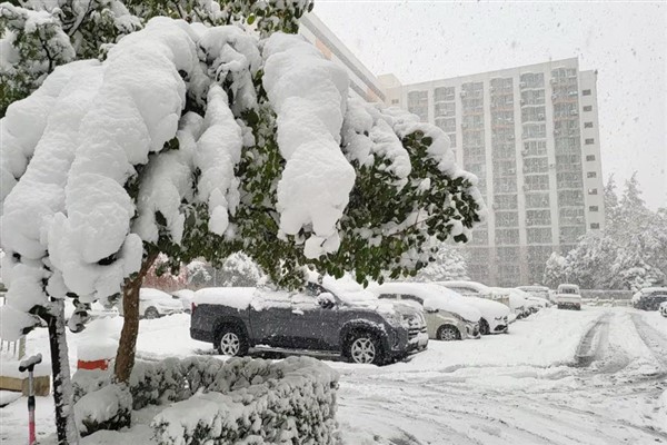 Güney Kore’de son 100 yılın tarihi kar yağışı yaşandı