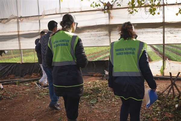 Antalya Büyükşehir, sera ve tarım alanlarında hasar tespiti yapılıyor