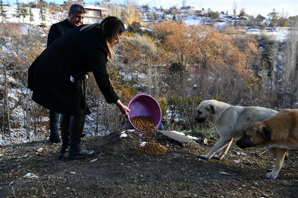 Başkan Yardımcısı Emre, sokak hayvanlarını besleme çalışmalarına katıldı