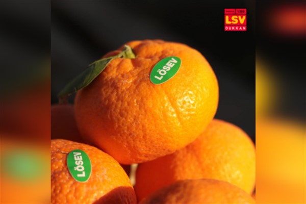 Doğal üretilen LÖSEV doğal satsuma mandalinaları, sağlıklı beslenmede sembol haline geldi