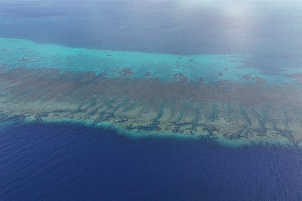 “Filipinler’in kötü niyetli yasalarının arkasındaki siyasi manipülasyon”