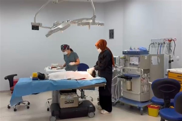 Şanlıurfa’da genel anestezi ve sedasyon altında diş tedavi hizmeti