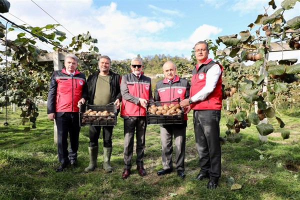 Ordu Valisi Erol, kivi hasadına katıldı