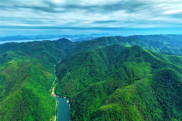 Çin’de ormanlık alanların kapsamı yüzde 25’in üzerinde