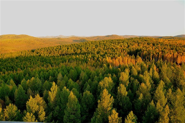 Çin, “erozyonda sıfır artış” hedefine erken ulaştı