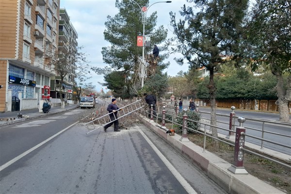 Siirt’te ağaç budama çalışmaları devam ediyor
