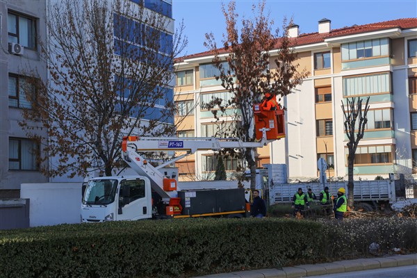 Eskişehir Büyükşehir’den ağaçlara kış bakımı