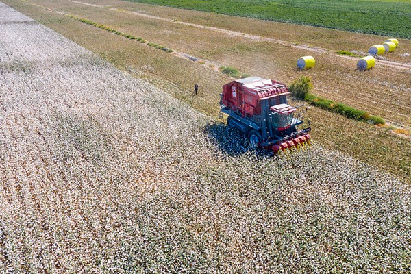 CMG Yazarı Zhi Wuyan: “Batı, neden pamuk üzerinden Çin’i karalamaya çalışıyor?”