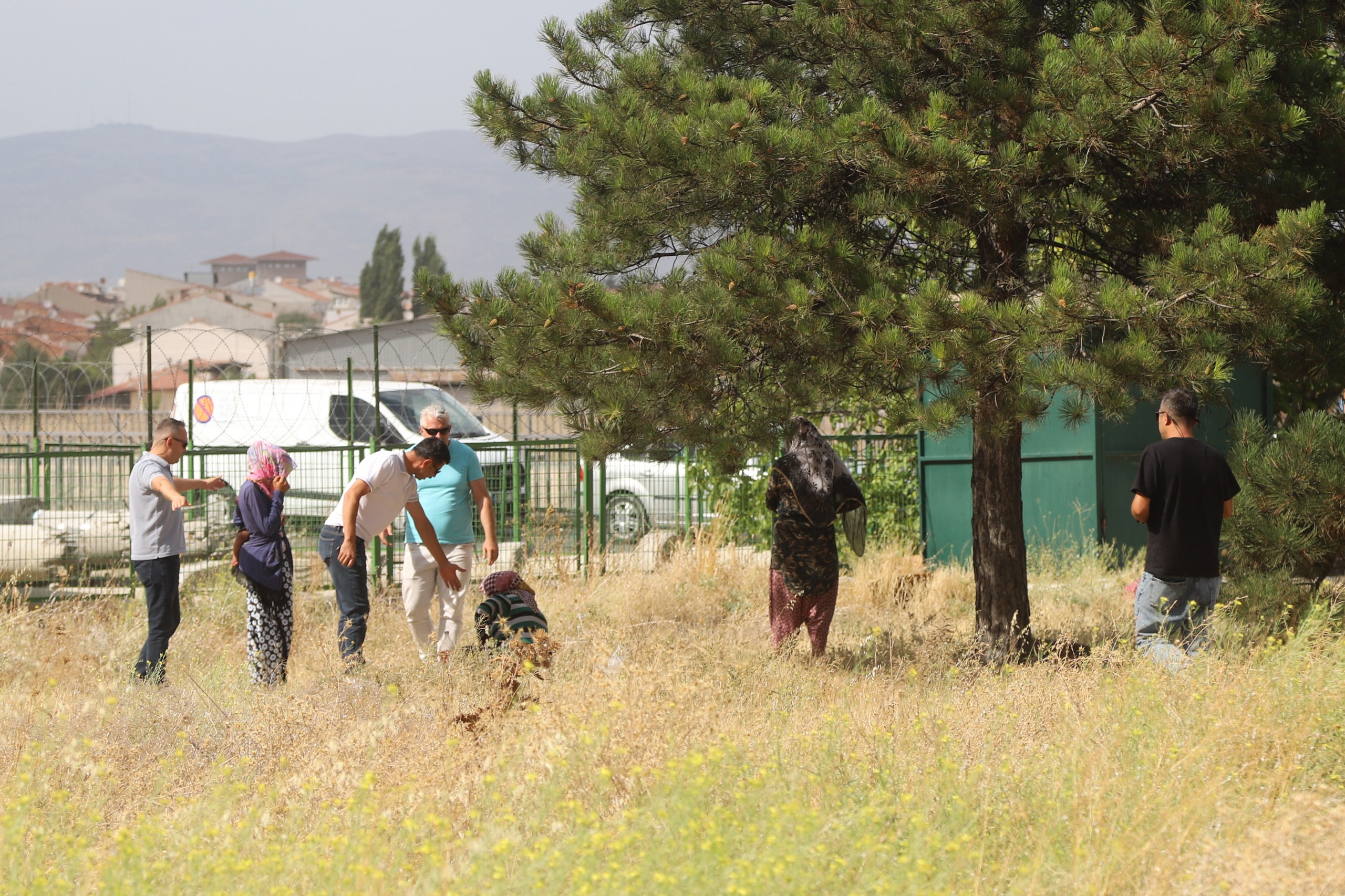 Eskişehir Büyükşehir Belediyesi zabıta ekipleri 2024 çalışmalarını açıkladı