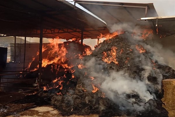 Samanlık yangını kısa sürede kontrol altına alındı