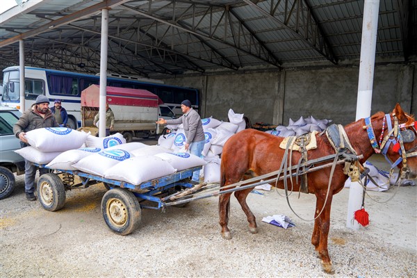 Eskişehir Büyükşehir’den hayvan yetiştiricilerine yem desteği