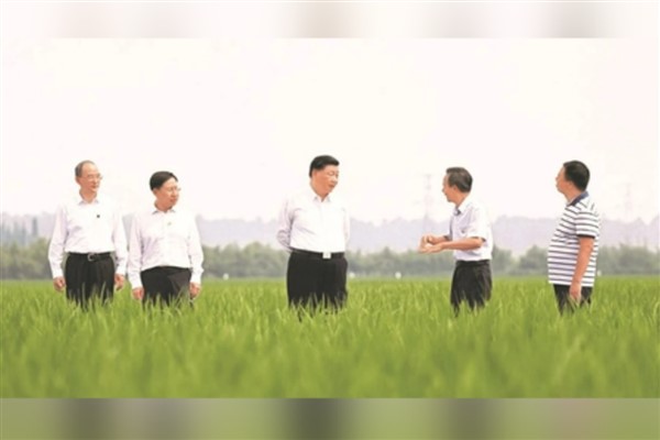 Xi Jinping’den tarımın önemine dikkat