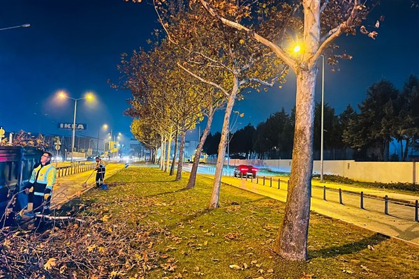 Bursa’da ağaçlara da kış bakımı yapılmaya başlandı