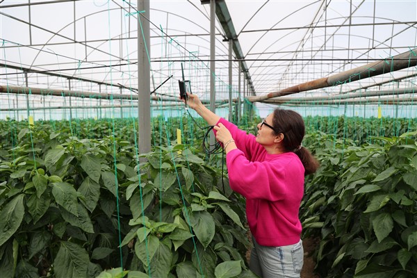Dijital Tarım Projesi ile veriler çiftçilerin cebinde