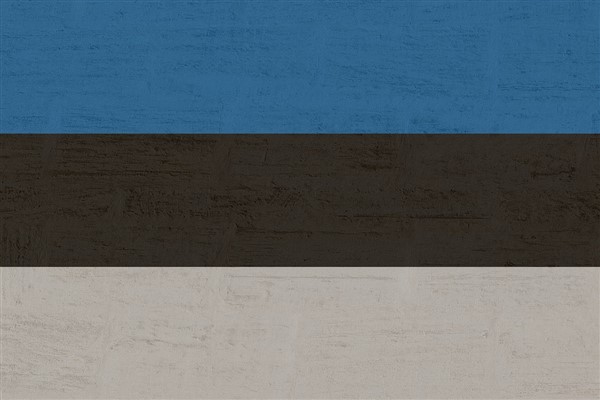 Estonya, 14 Gürcistanlı yetkiliye yaptırım uyguluyor