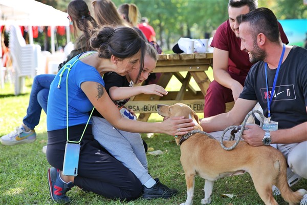 Bursa’da 9 bin 569 sokak hayvanının tedavi süreci tamamlandı