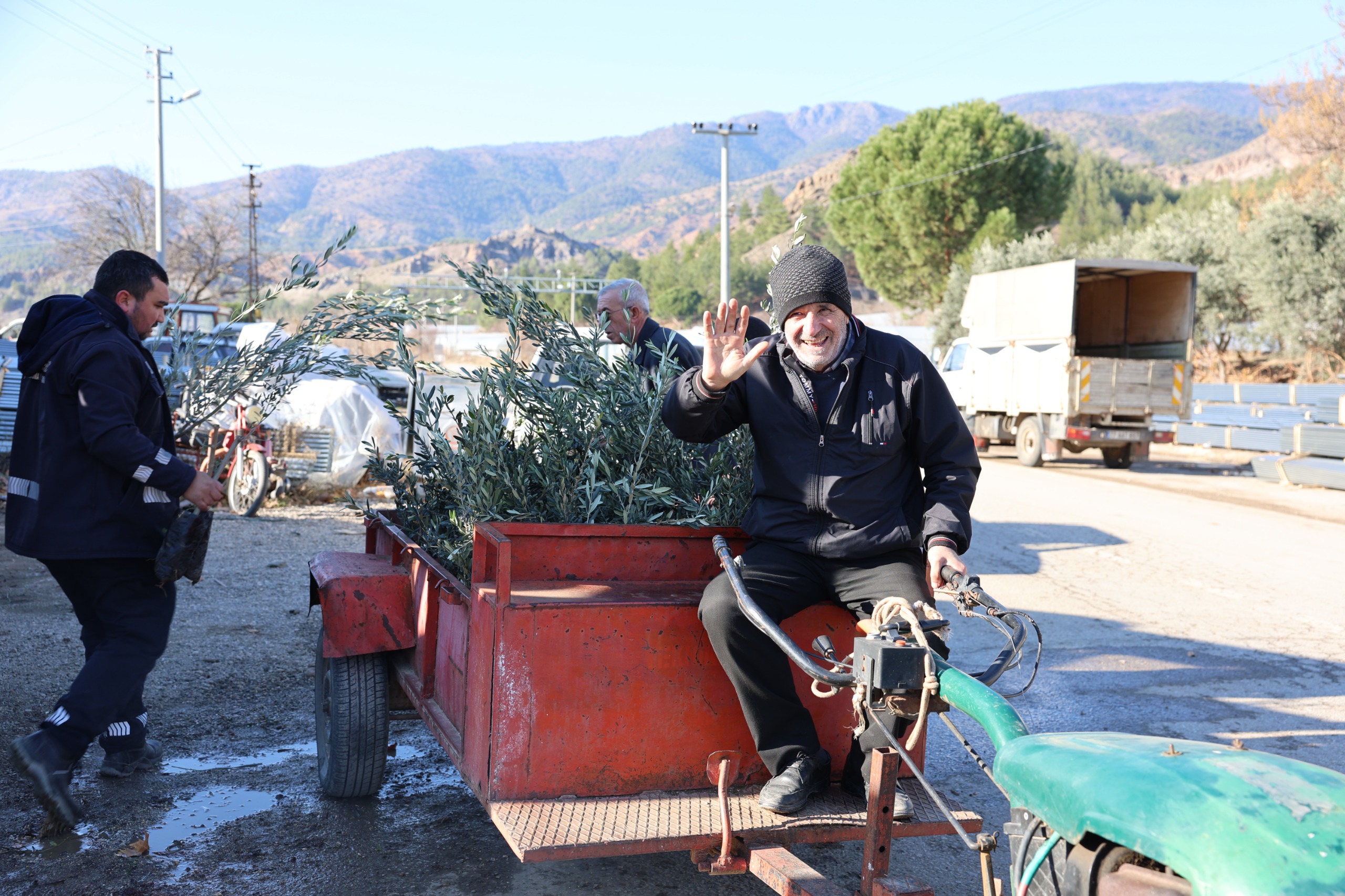 Mihalgazi ve Sarıcakaya’da 17 bin zeytin fidanı dağıtıldı