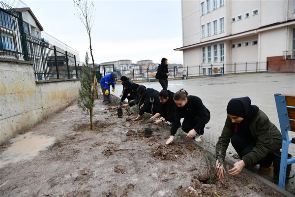 Mamak’ta lavanta fidanı dikimi ve sürdürülebilir tarım projesi