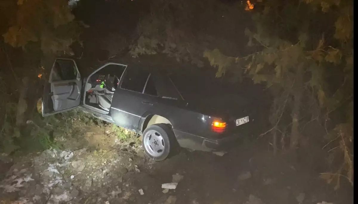 Elazığ’da Otomobil Ağaçlara Çarptı: 4 Yaralı