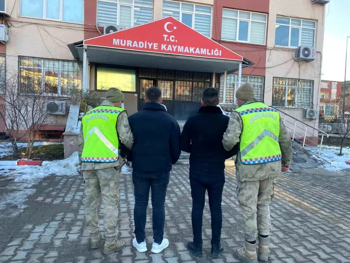 Van’da Düzensiz Göçmen Operasyonu: 5 Göçmen Yakalandı, 2 Organizator Tutuklandı