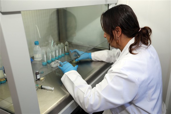 Muğla’nın tohumları Türkiye’nin topraklarıyla buluşuyor