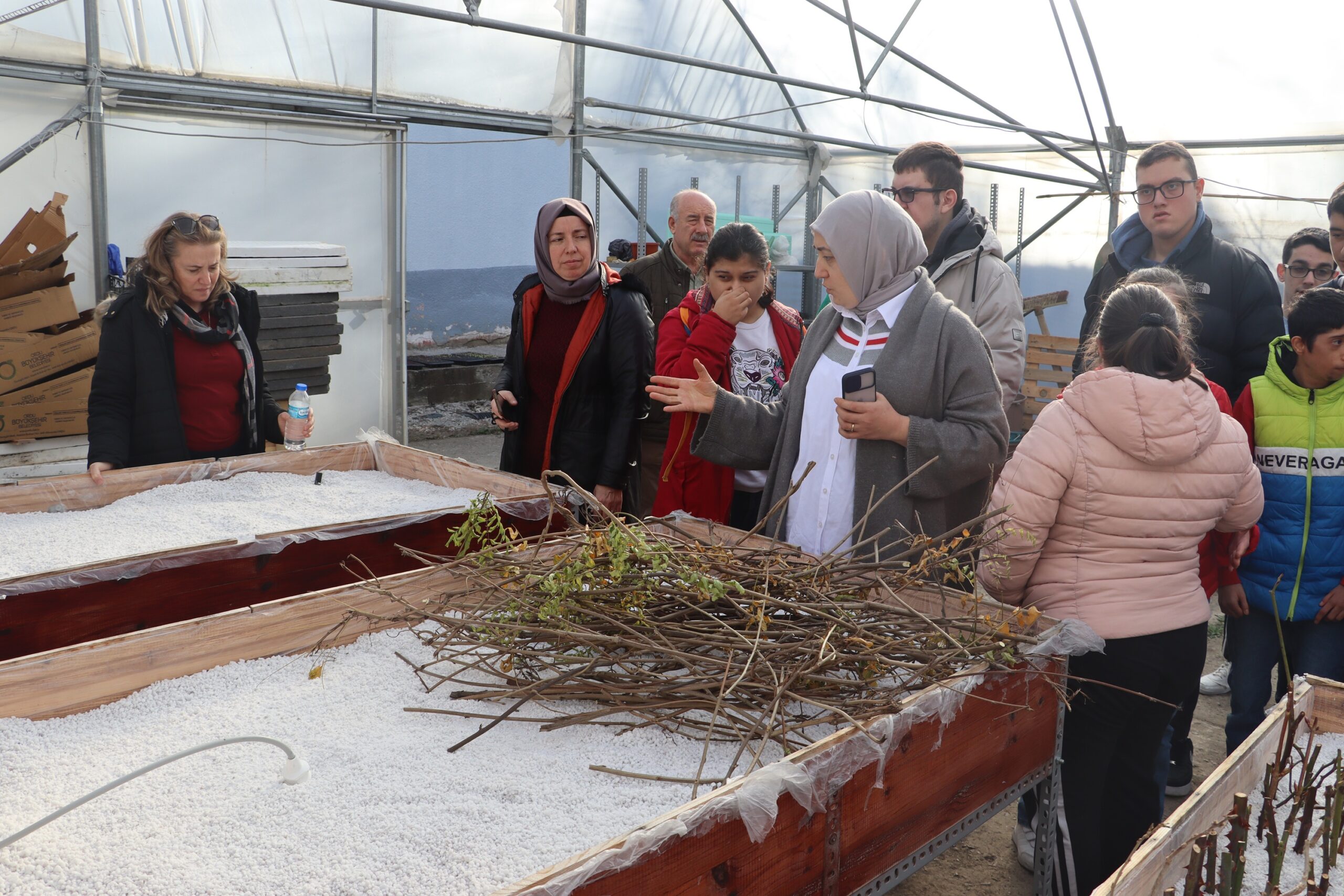 Ordu Biyoinovasyon Merkezi ata tohumlarını koruyor ve çoğaltıyor