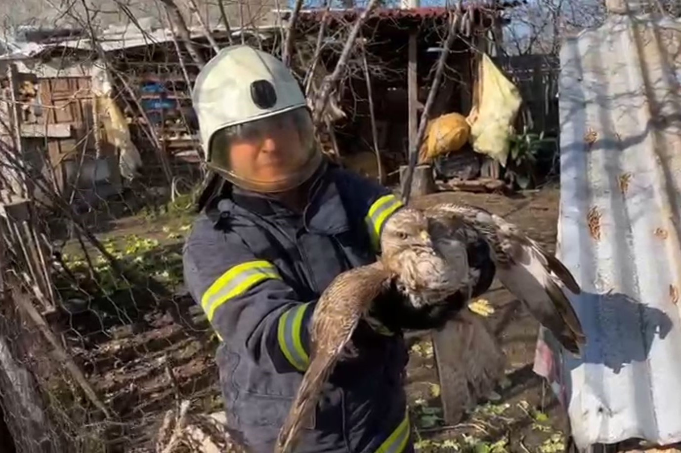Kümese giren doğan, itfaiye tarafından kurtarıldı