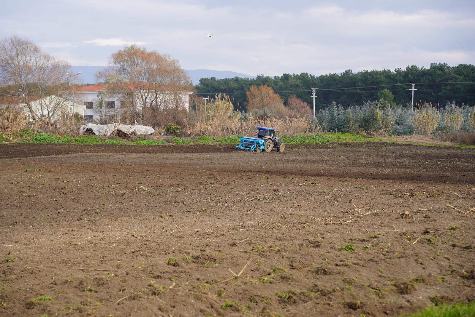 Orhangazi Belediyesi, yaklaşık 50 dönümlük alanda buğday ekimi yaptı