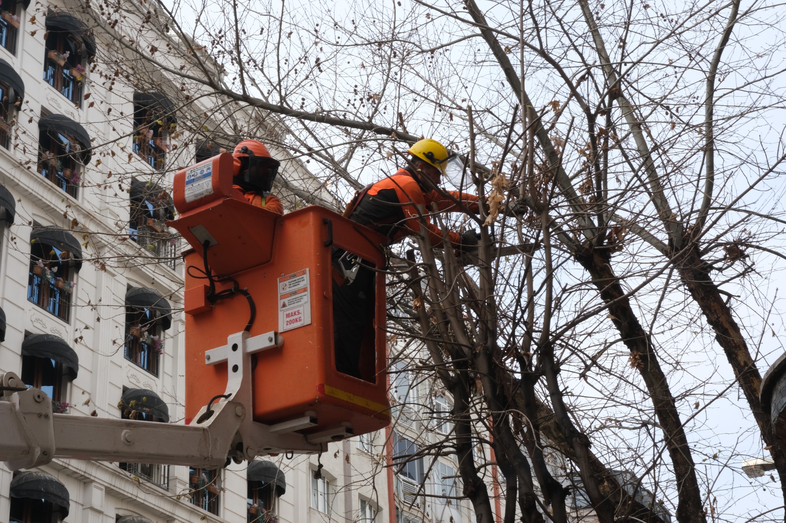 Eskişehir’de ağaç budama çalışmaları devam ediyor